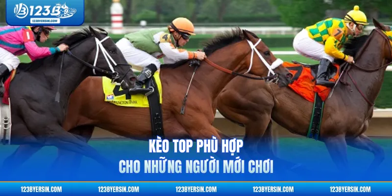 Kèo Top phù hợp cho những người mới chơi
