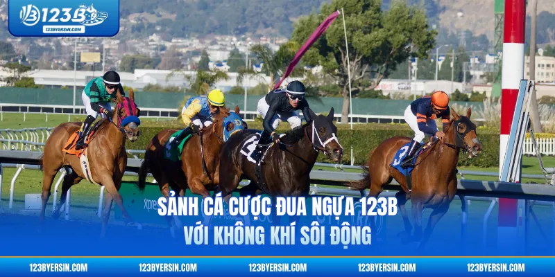 Sảnh cá cược đua ngựa 123B với không khí sôi động